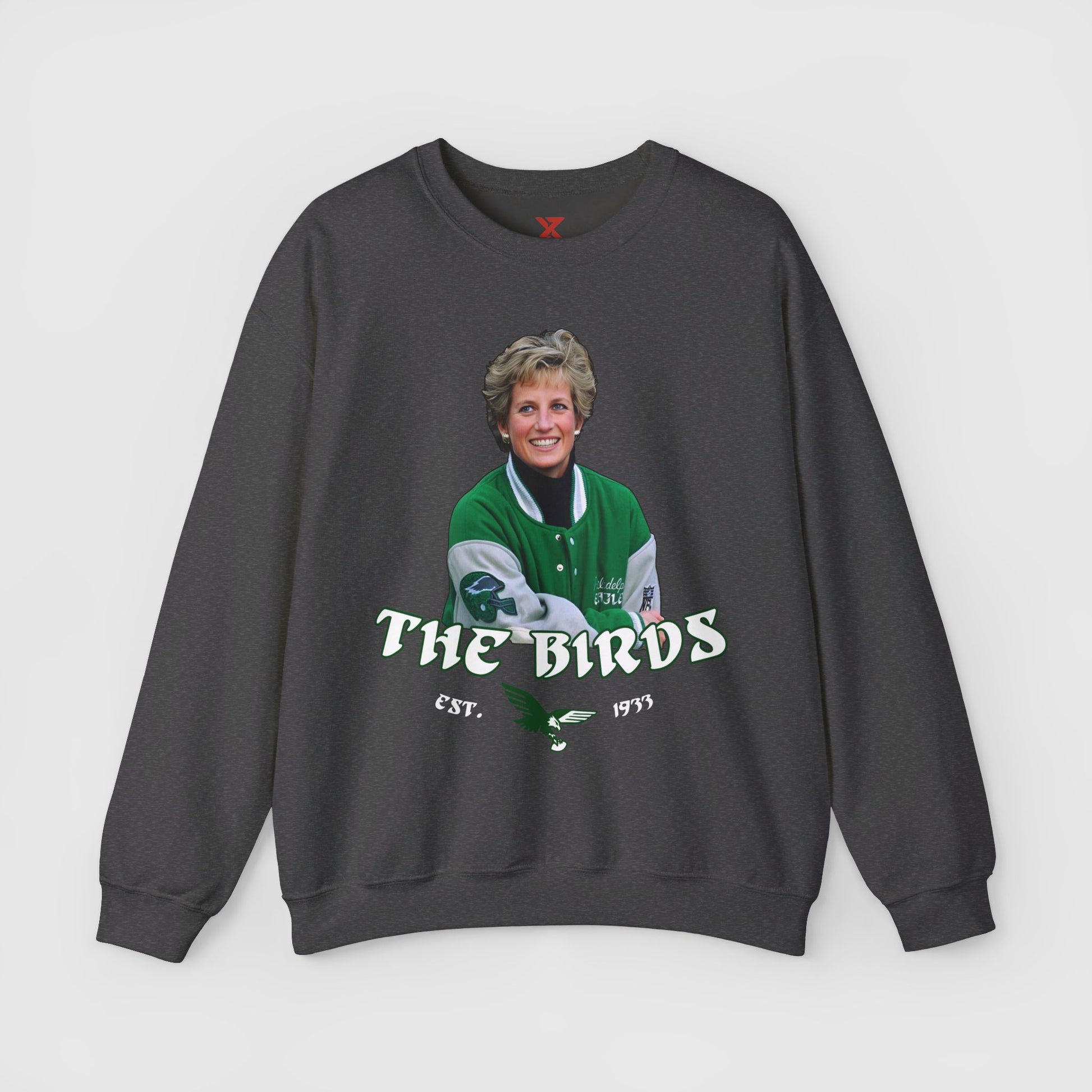 Princess Diana x Eagles Hoodie Product Pic Front Dark Heather