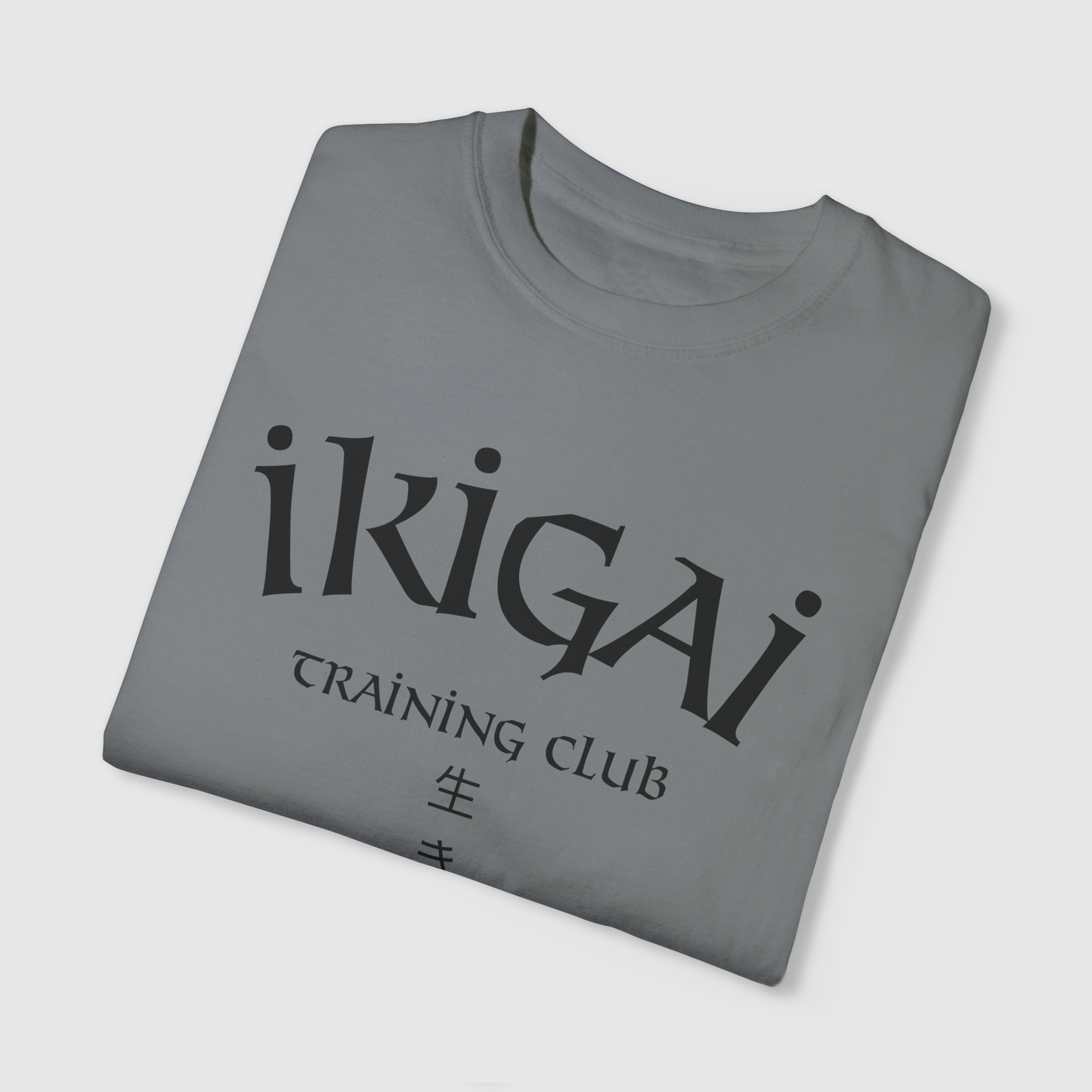 Ikigai Training 2.0 Tee Product Pic Folded Front Granite